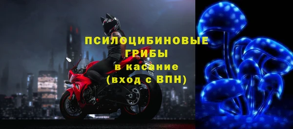 сатива Алексеевка