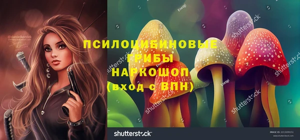 сатива Алексеевка