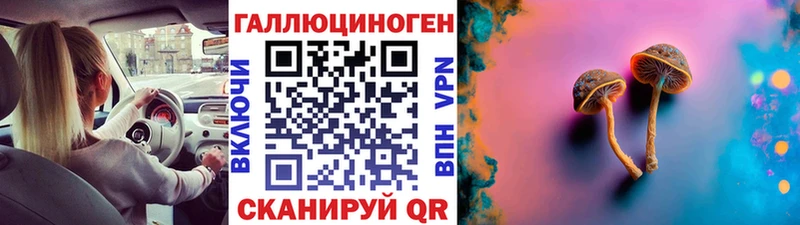 mega tor  Тотьма  Псилоцибиновые грибы мицелий 